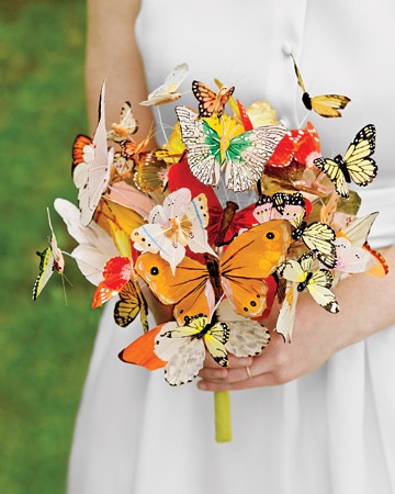 A handful of butterflies